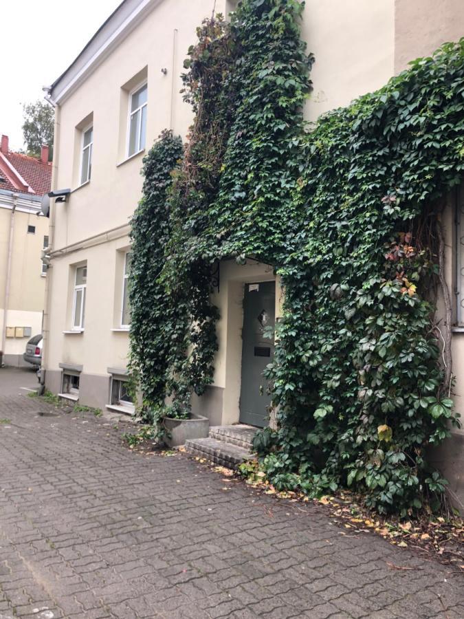 Angel House Vilnius, Dysnos Apartamento Exterior foto